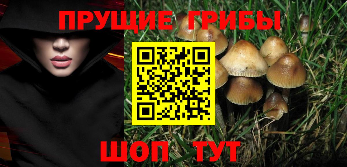 Протвино  Псилоцибиновые грибы GOLDEN TEACHER  Галлюциногенные грибы мухоморы  Вход с VPN 