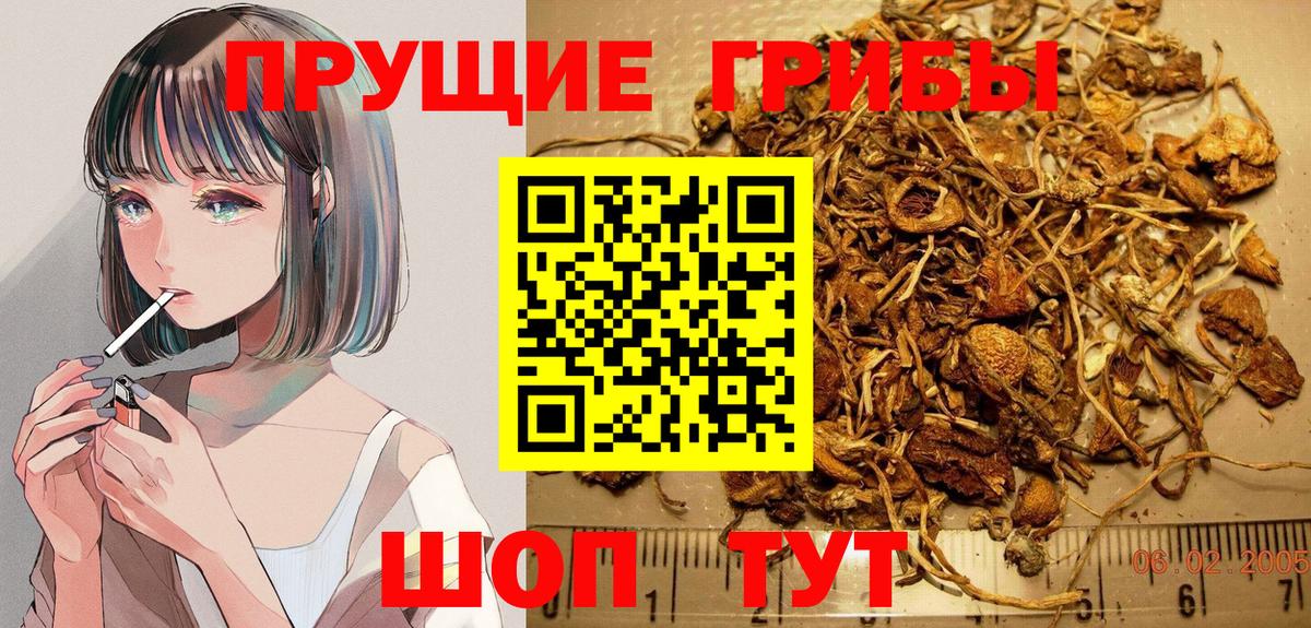 Псилоцибиновые грибы прущие грибы Протвино